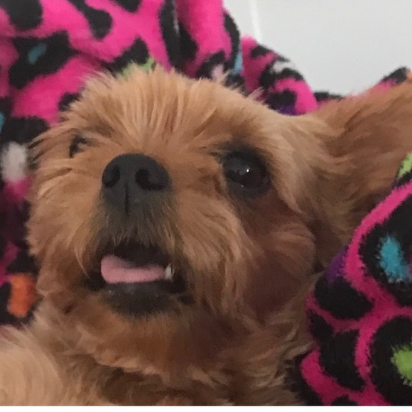 Meet your Posher, Kimberly - Picture 1 of 1